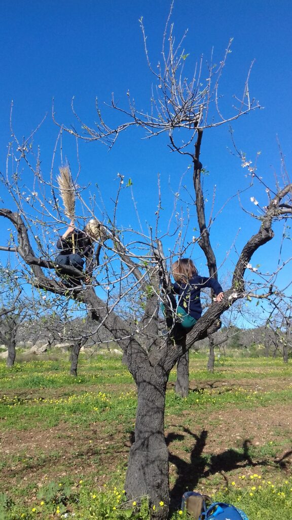 Aula in Natura Outdoor Education