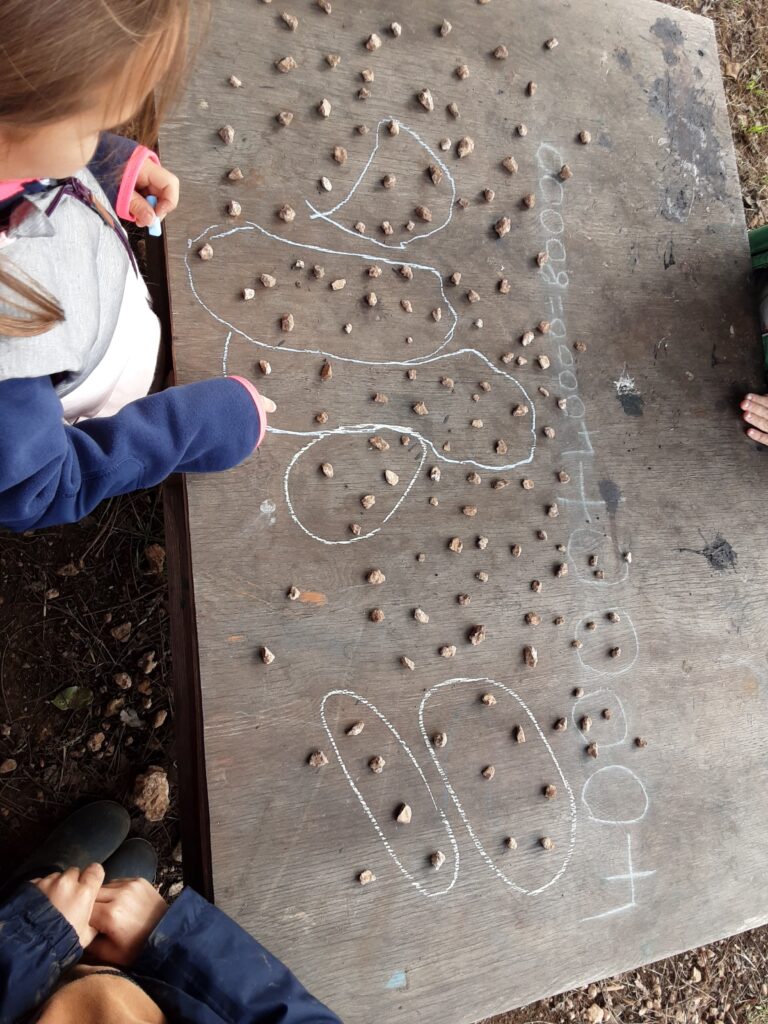 Matematica in Natura