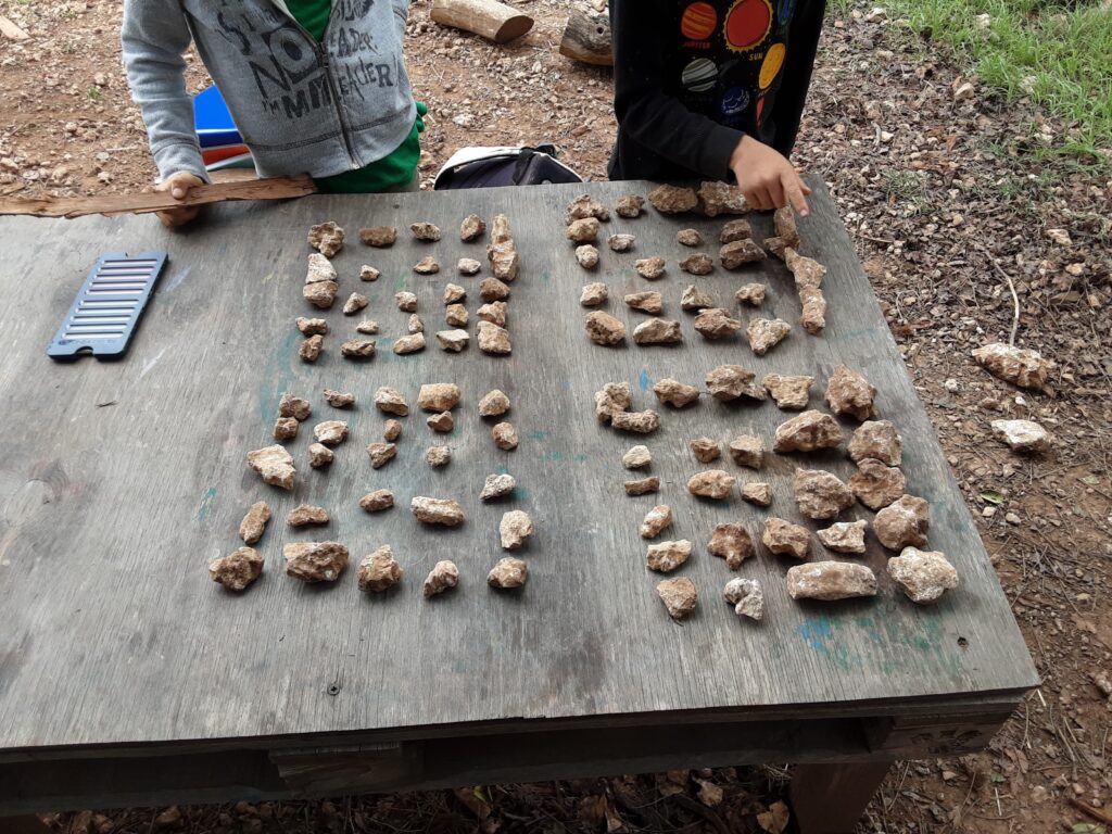 Matematica in Natura