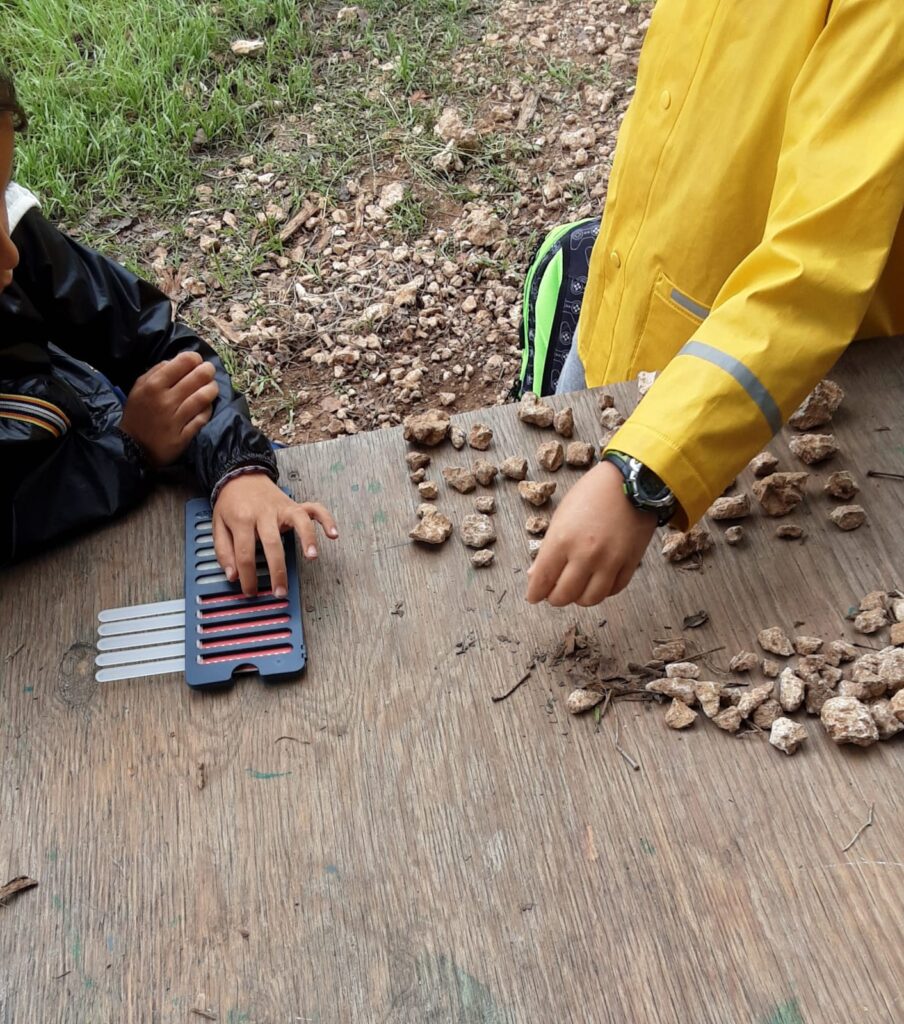 Matematica in Natura
