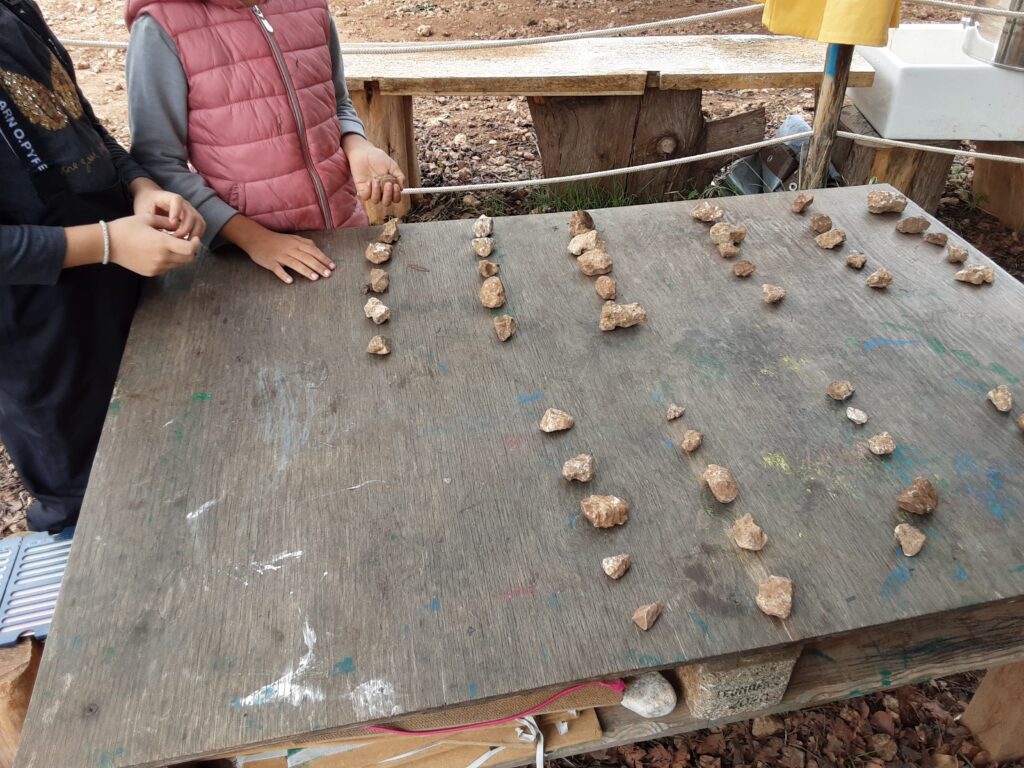 Matematica in Natura