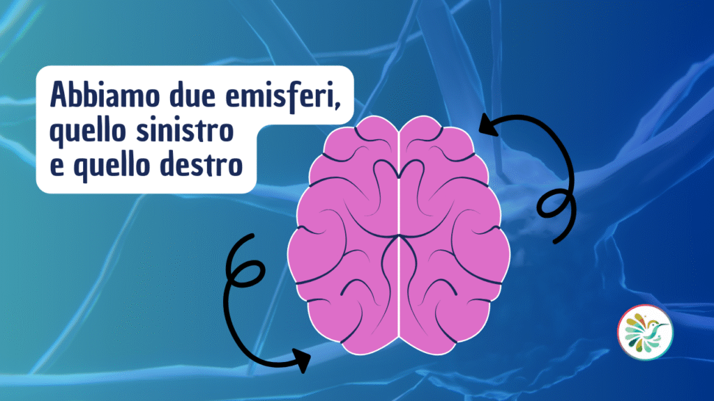 Abbiamo due emisferi, quello sinistro e quello destro