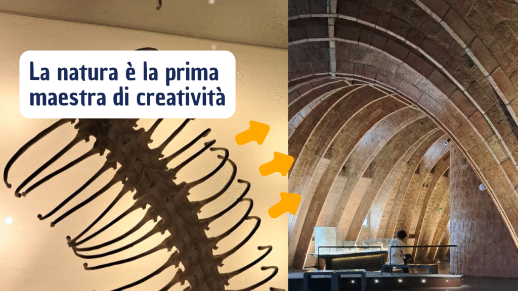 Gaudí e la Natura: come l’osservazione diventa arte e ispirazione