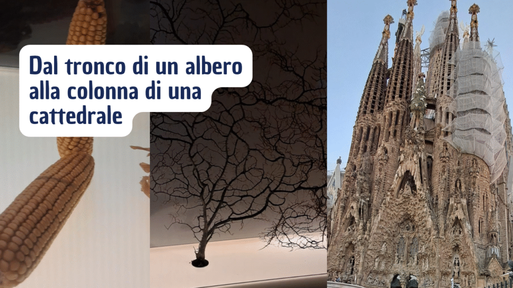 Gaudí e la Natura: come l’osservazione diventa arte e ispirazione